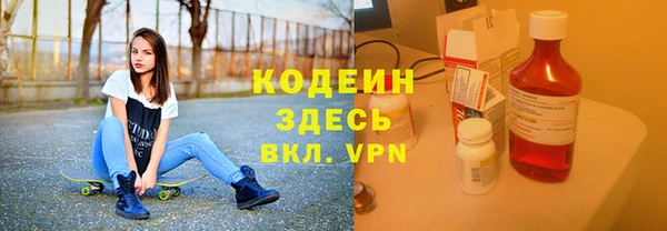 молекула духа Няндома