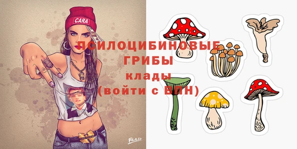 молекула духа Няндома