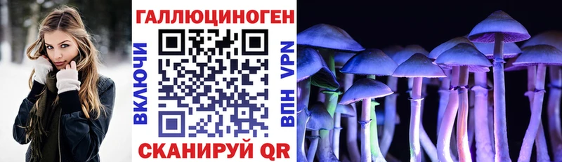 Псилоцибиновые грибы Psilocybine cubensis  Тулун 