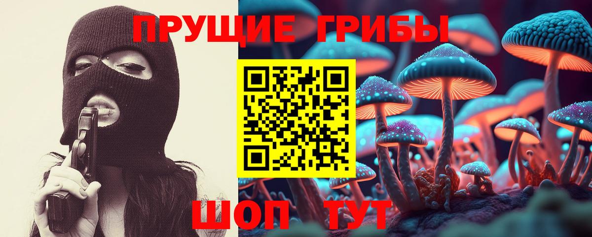 Тулун  Галлюциногенные грибы GOLDEN TEACHER  Вход с VPN 