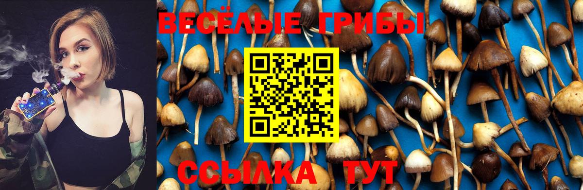 Галлюциногенные грибы MAGIC MUSHROOMS  Псилоцибиновые грибы мицелий  Тулун 