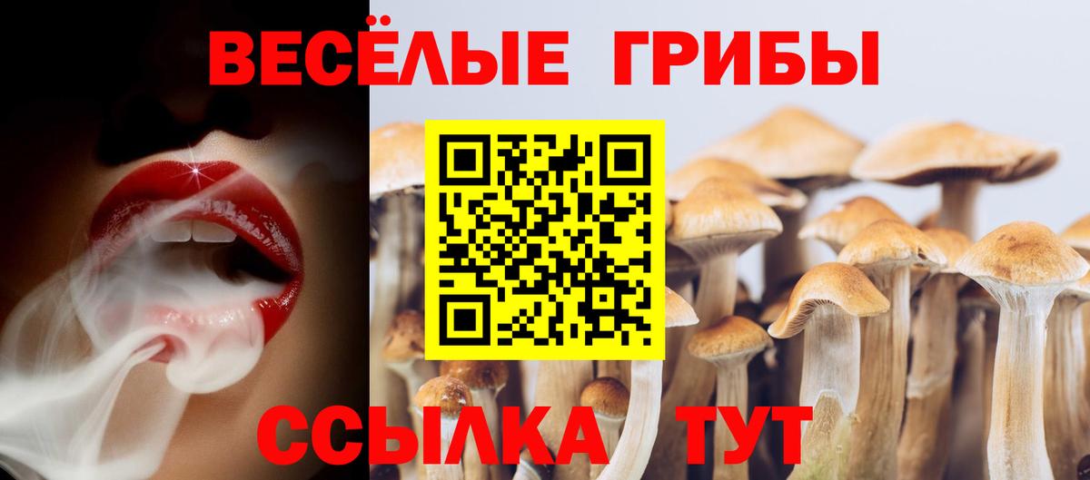 Псилоцибиновые грибы ЛСД Тулун
